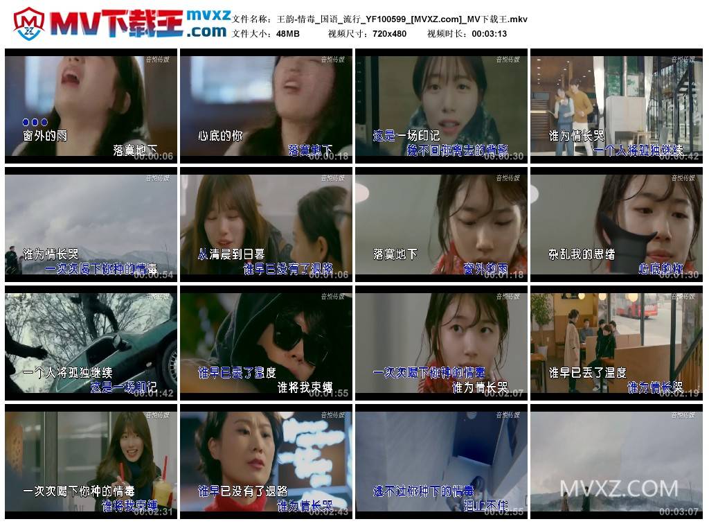 王韵-情毒_国语_流行_YF100599